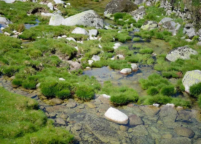 Дом отдыха Casa Dos Alcaides